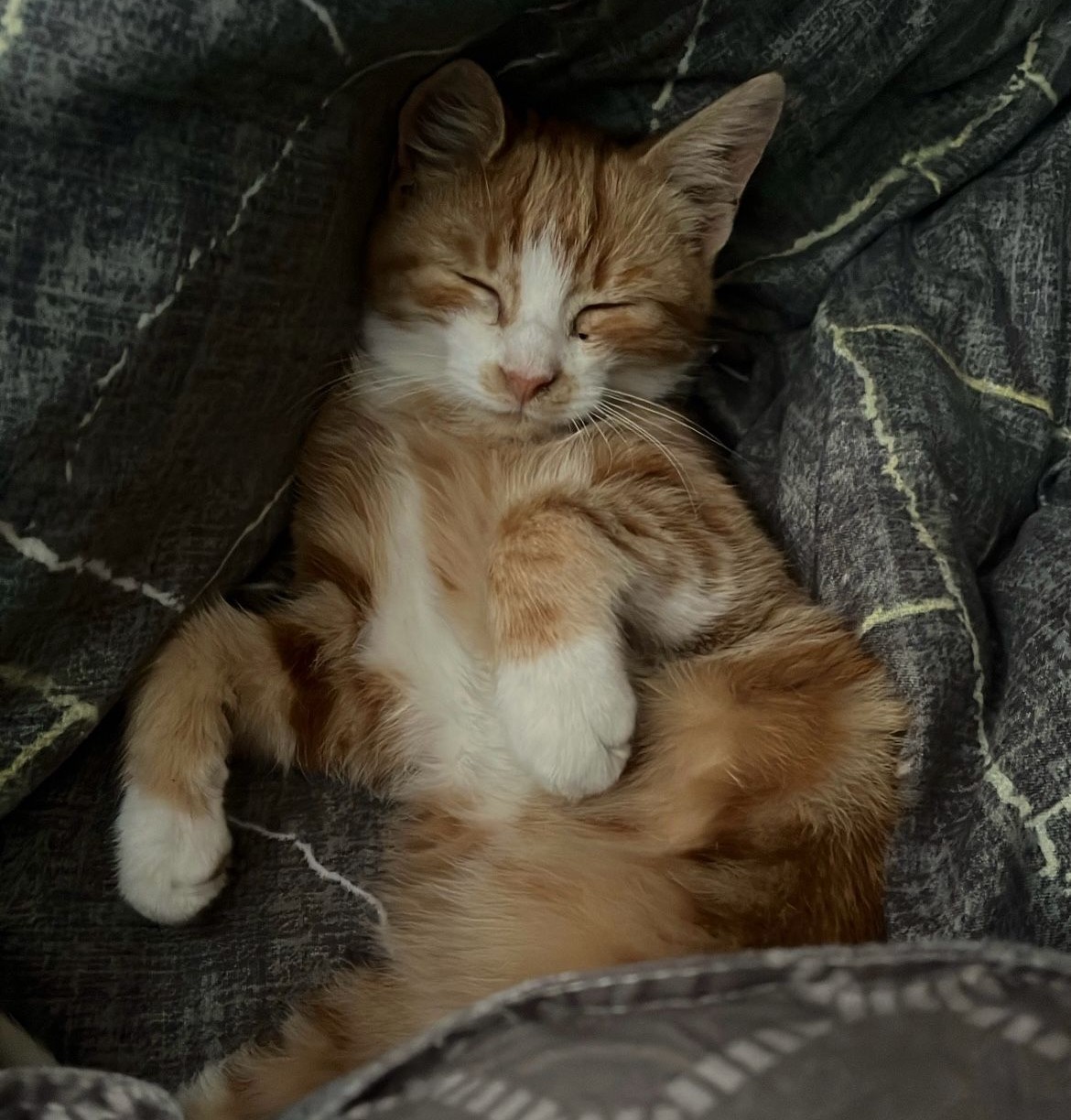 Imagine suplimentară